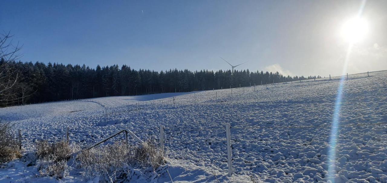 Apartament Landhaus Schnorrenberg, Wellness & Nature Hellenthal Zewnętrze zdjęcie