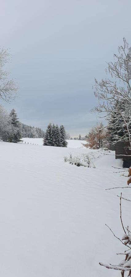 Apartament Landhaus Schnorrenberg, Wellness & Nature Hellenthal Zewnętrze zdjęcie