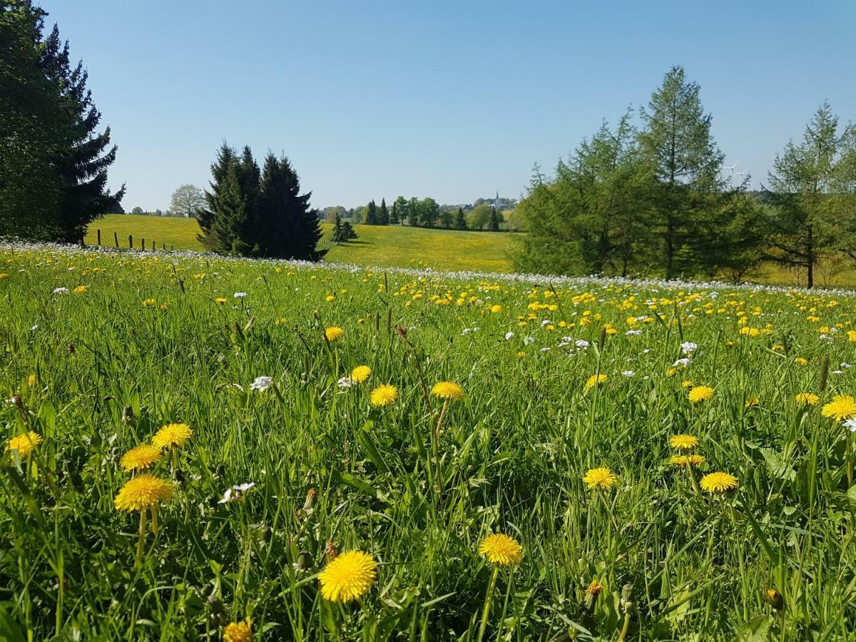 Apartament Landhaus Schnorrenberg, Wellness & Nature Hellenthal Zewnętrze zdjęcie