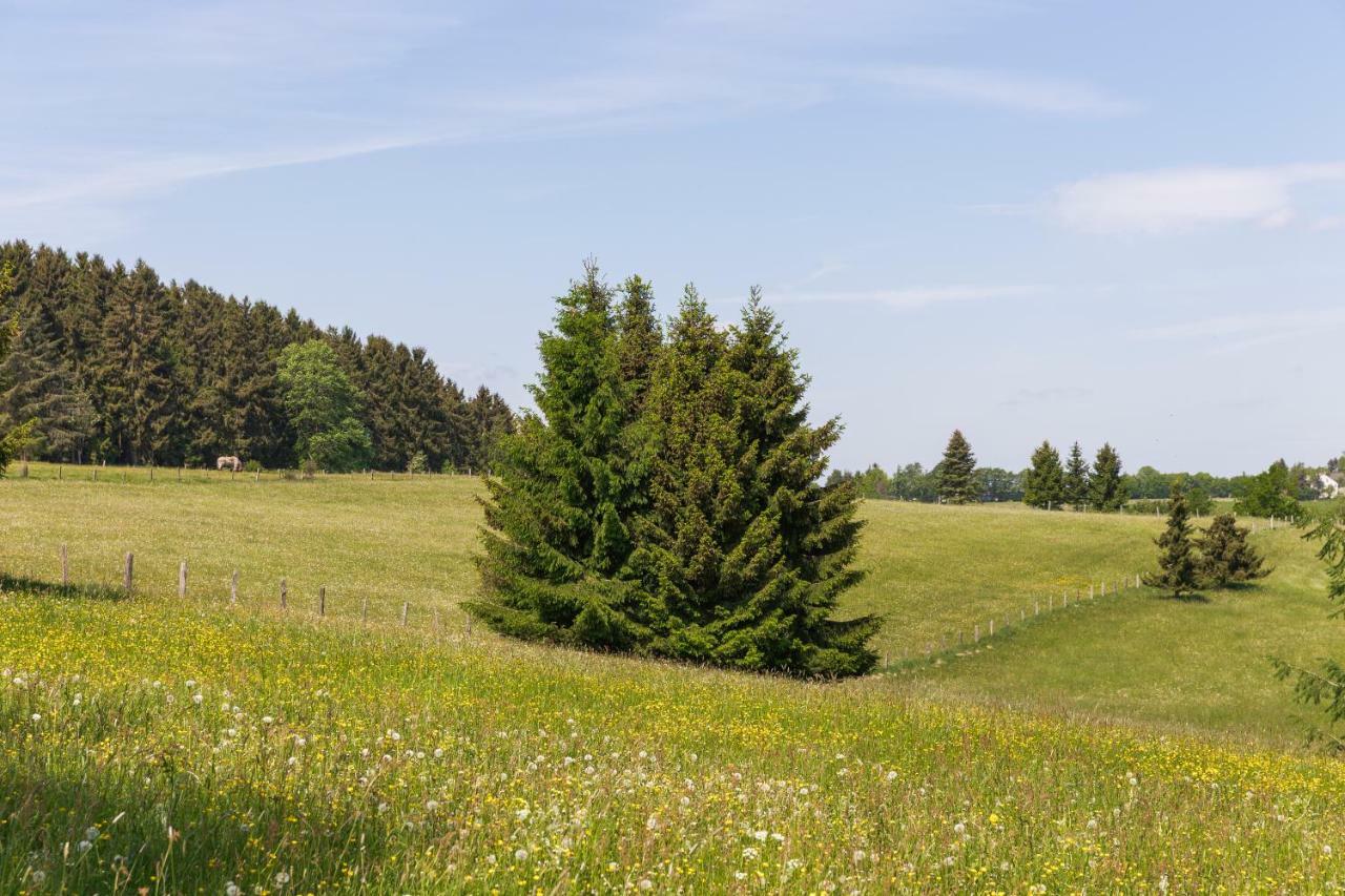 Apartament Landhaus Schnorrenberg, Wellness & Nature Hellenthal Zewnętrze zdjęcie