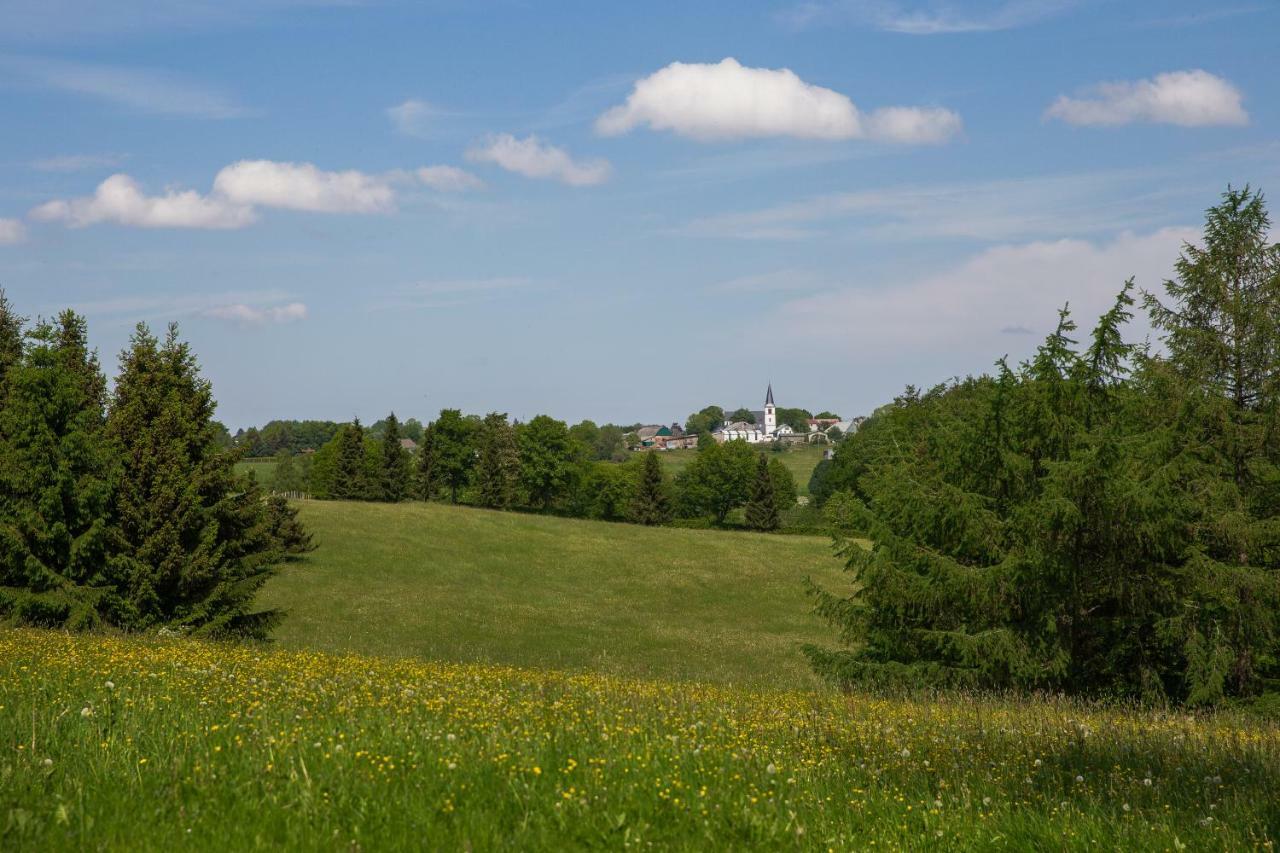 Apartament Landhaus Schnorrenberg, Wellness & Nature Hellenthal Zewnętrze zdjęcie