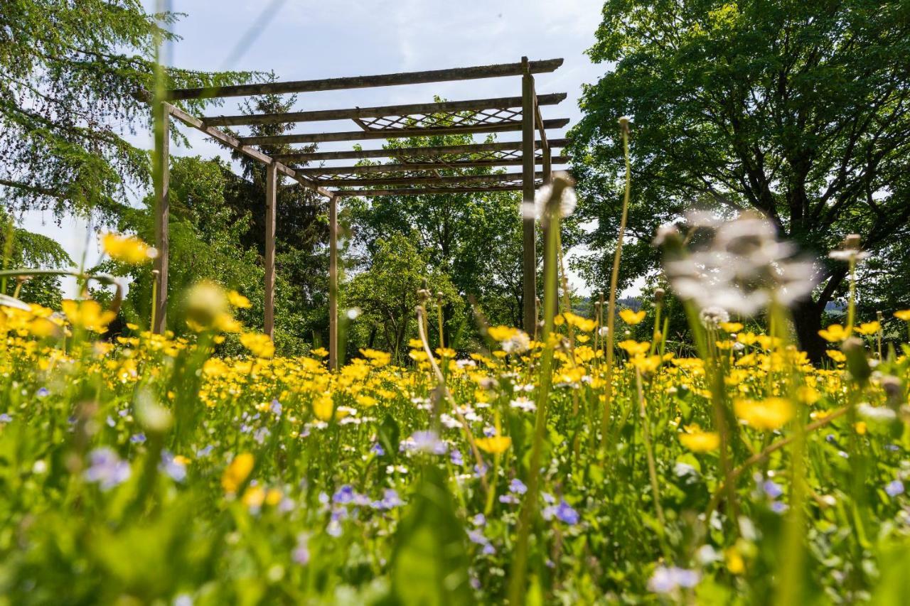 Apartament Landhaus Schnorrenberg, Wellness & Nature Hellenthal Zewnętrze zdjęcie